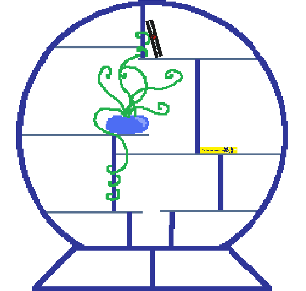 bookshelf displaying all the books i've read